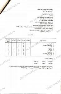 perevod_tabelya_uspevaemosti_arabskii_yazyk